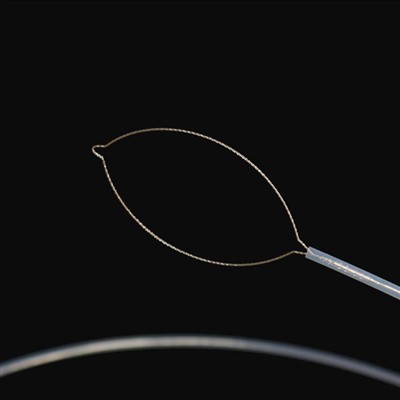 James l’ha introdott el sò post in de la NFL.